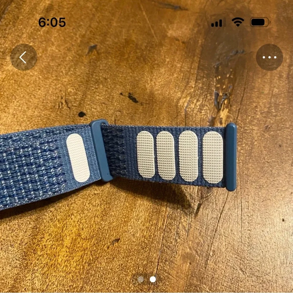 Blue Wearable Band Apple